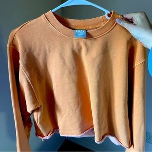 Aritzia cropped orange sweatshirt